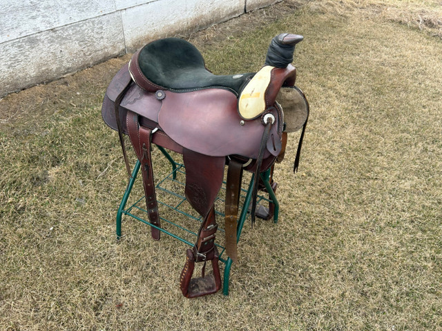 16 inch Roper Saddle in Equestrian & Livestock Accessories in Edmonton