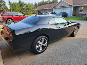 2012 Dodge Challenger Black on black