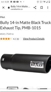 Bully exhaust tip brand new $40