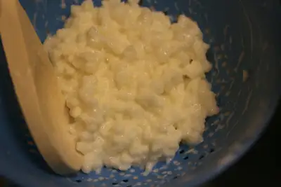 Milk kefir grains - East Vancouver, View more