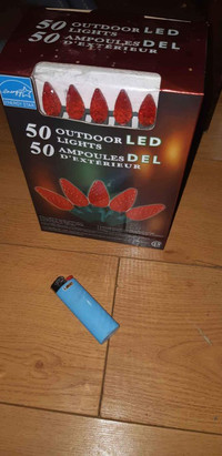 50x Red LED Outdoor Lights Ampoules Exterieures 17ft Rouge