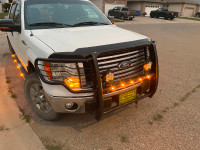 2009-2014 F150 Aries Brush Guard