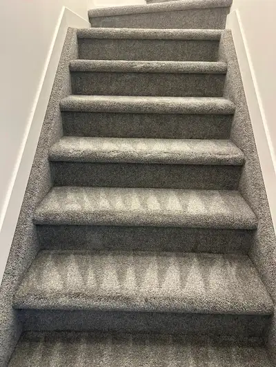 Professional Carpet & Sofa Cleaning in Edmonton, View more
