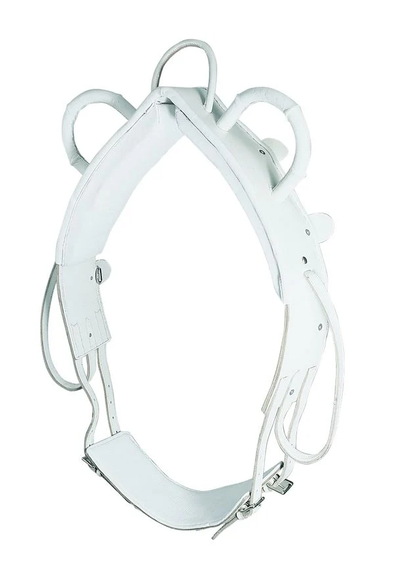 Leather Vaulting Surcingle, View more