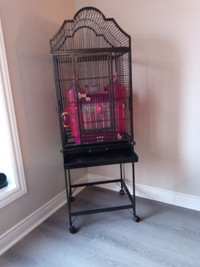 BiRD CAGE