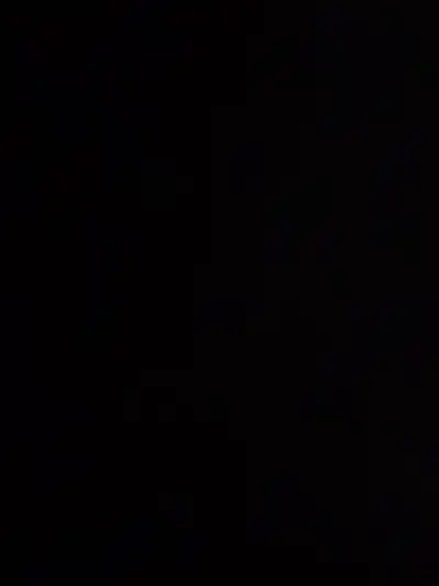 Looking for remote job or warehouse job morning shift fT or PT, View more