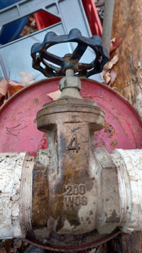 Brass 4" gate valve
