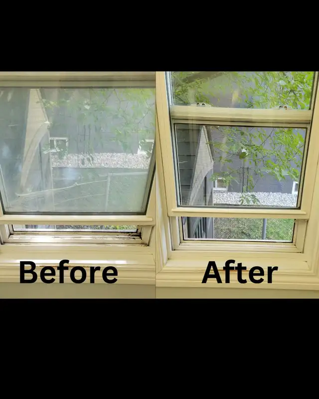 Window Cleaning62864355467138123
