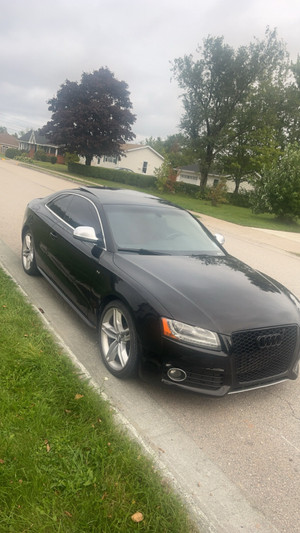 2009 Audi S5