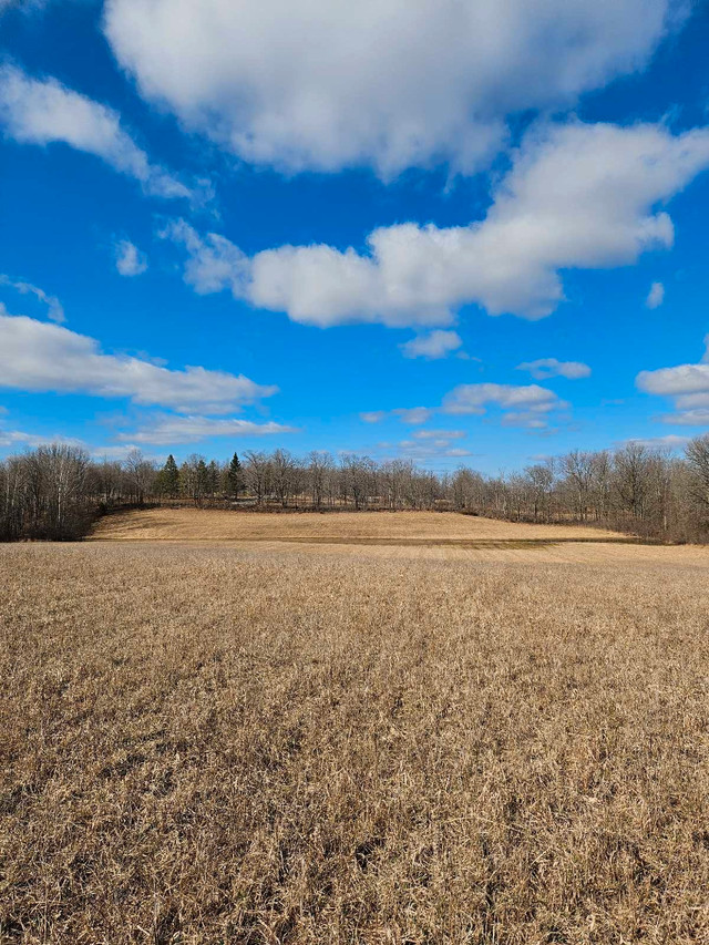 19.5 acres available in Land for Sale in Trenton - Image 3