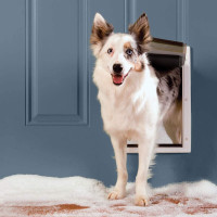 Energy Efficient Pet Door for Medium size dog, (OPEN BOX RETURN)