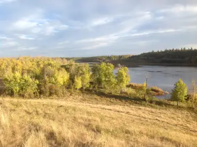 90 acres on 2 titles or can be split into several lots 4 miles East of Leduc or 6 miles south of Bea...