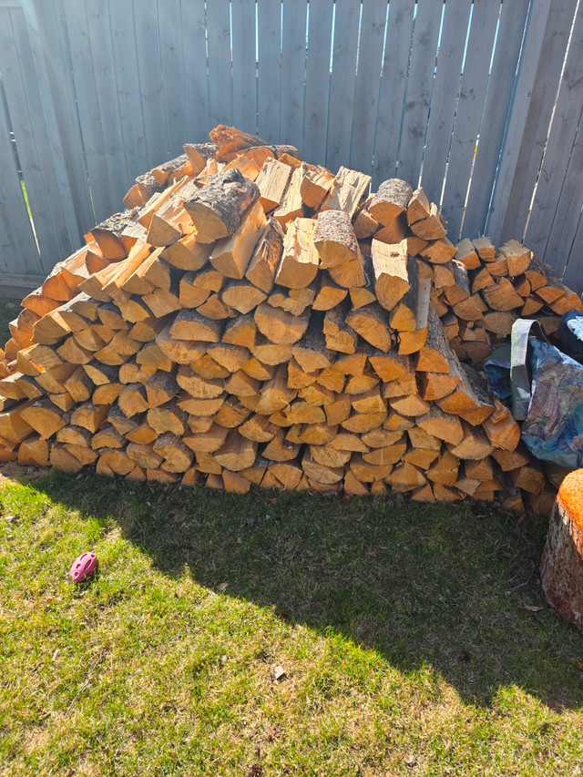 Firewood for sale in Other in Calgary - Image 4
