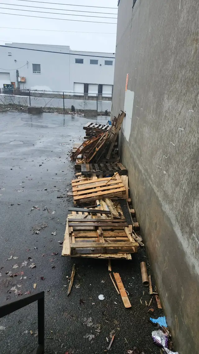 Junk Removal65244523437826126