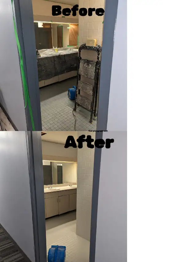 Professional Painting - Fair Pricing 539353960751441921