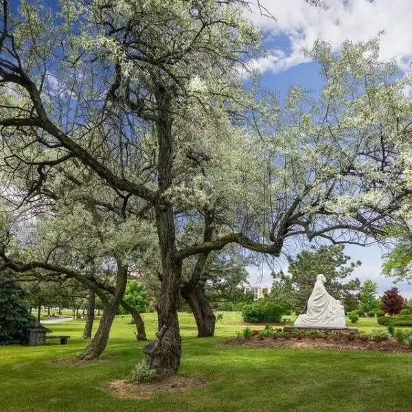 Glendale Cemetery - Burial Plot439732256617287680
