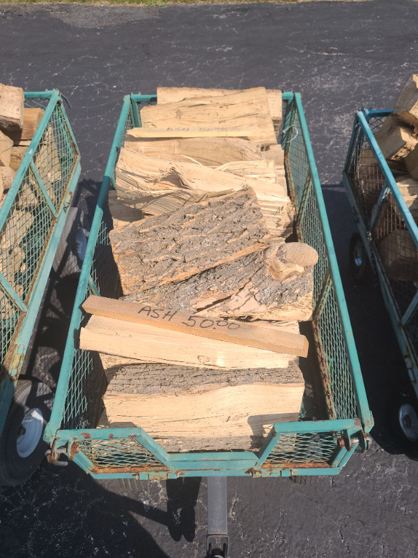 Firewood Ash in Other in Windsor Region - Image 2
