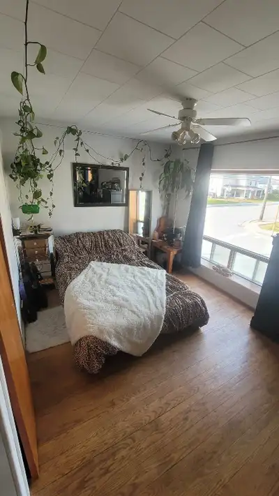 pictures of the unit