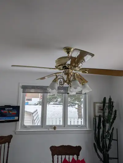 Ventilateur plafonnier, View more