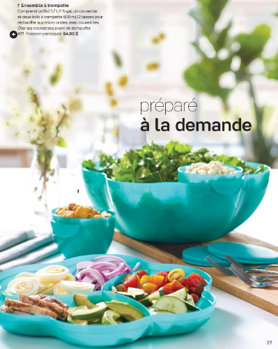 Tupperware plat à trempette neuf dans Vaisselle et articles de cuisine  à Longueuil/Rive Sud