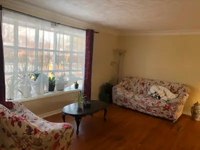 Location in Calvin Park: Beautifully maintained 3-bedroom + 1 guest room/bedroom house. Available: J...