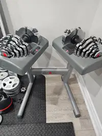 IRONMAN  Adjustable Dumbbells WITH STAND