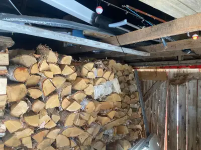 Woodstove, View more