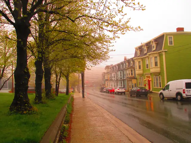 Stunning apartment for rent in old downtown St. John's