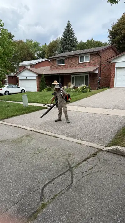 LAWN CARE & GRASS CUTTING, View more