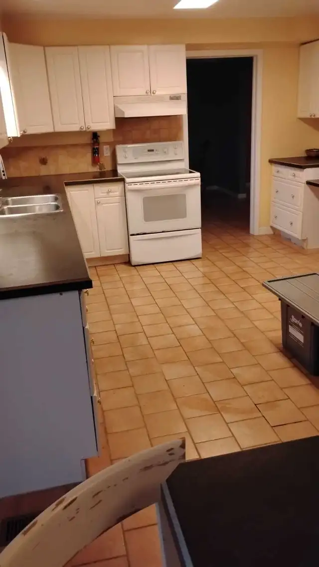 $29 Cleaning in GTA: Toronto, Etobicoke, Scarborough, etc63735895173379124