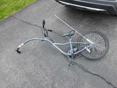 Supercycle Ride along. $50 OBO. Used it fo4 2 summers. My kids are too big for it now.