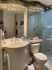 Vanité de salle de bain, robinetterie, base de douche, toilette.