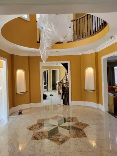 Extremely professional painter available at a discounted price!, View more