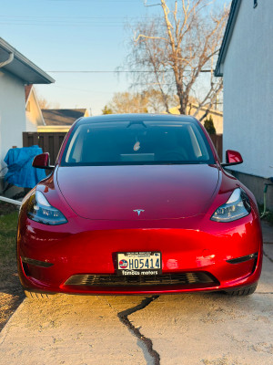 2024 Tesla Model Y