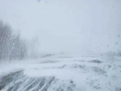 Free Removal, View more