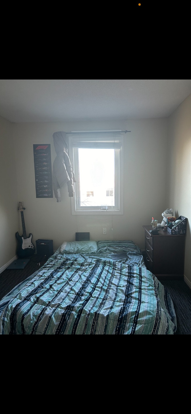 Room for rent in Room Rentals & Roommates in Guelph