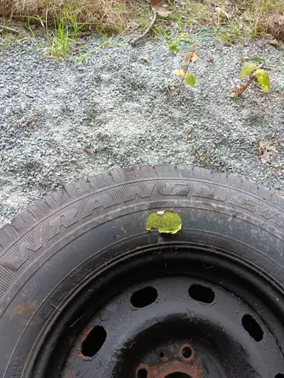 This was a spare tire that was never used, it's still on the rim $20. North end Dartmouth.