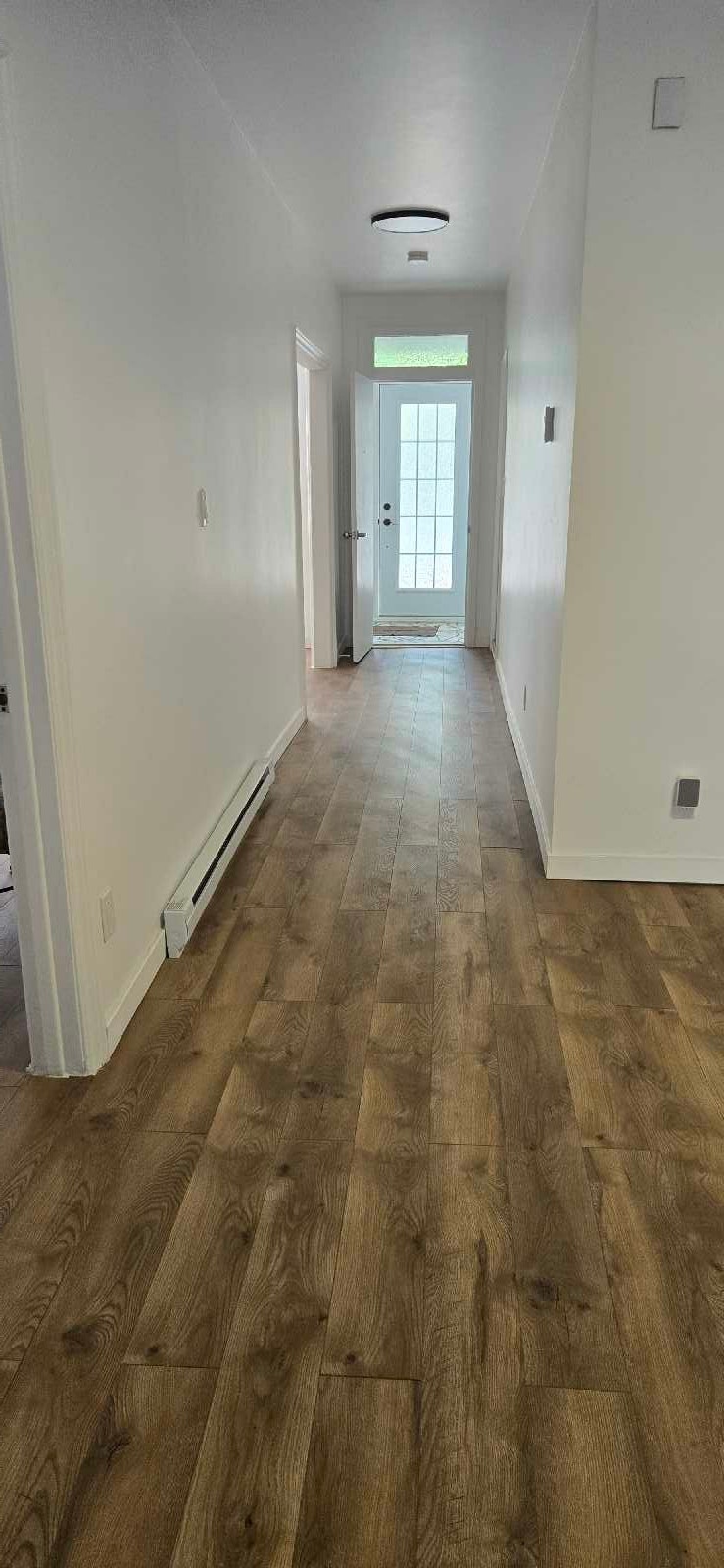 7361 R. Saint-Denis — photo 1