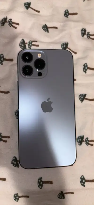 iPhone 13 Pro Max, View more