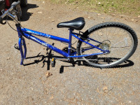 Arashi pf 2.0w mountain bike 21 gear bicycle