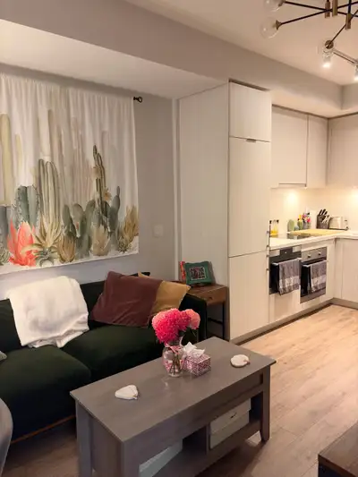 Fully Furnished 1bed, 1 bath apartment, with in-suite laundry, dishwasher, and balcony. All utilitie...