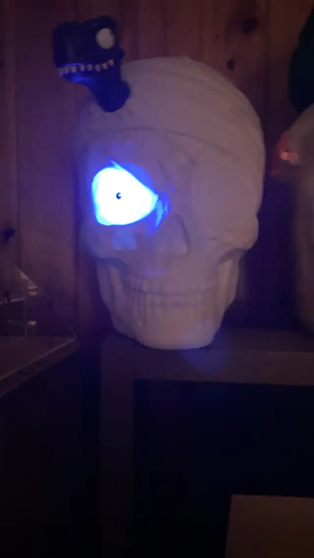 skull head with things inside as is64645239640322120