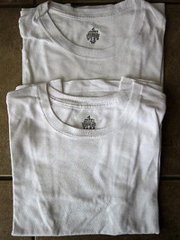 Youth Boys Jockey Size 16 T-shirts