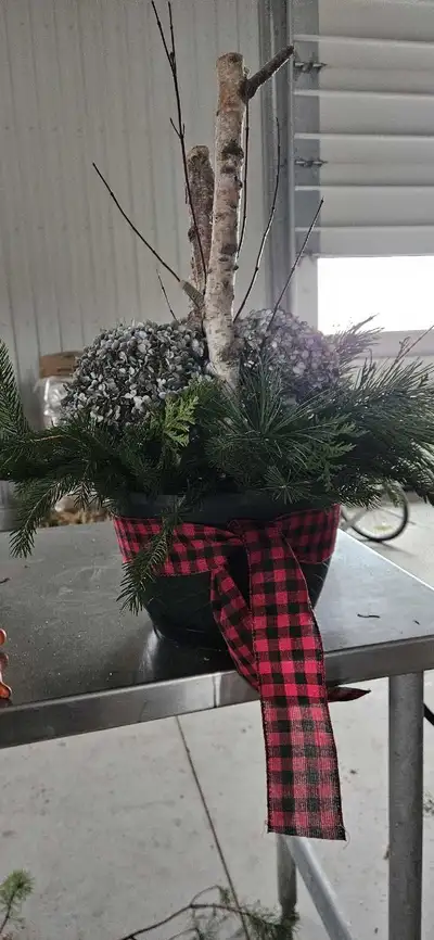 Evergreen planters, View more