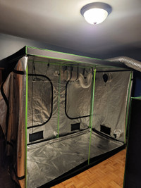 Grow tent and light setup