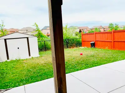 1 Bedroom walkout basement