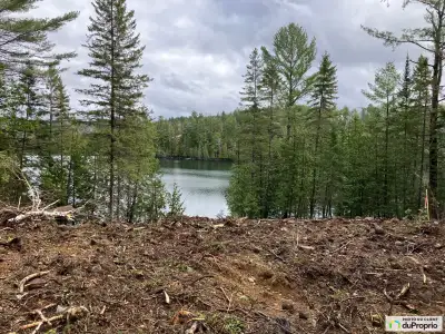 1-Acre Waterfront Lot Ready to Build! Were offering a beautiful 1-acre waterfront property in Blue S...