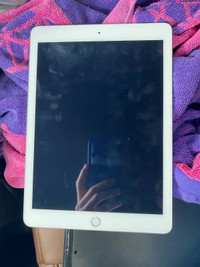 iPad Mini 5 (With Case)