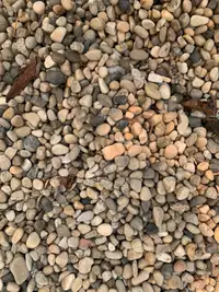 FREE pea gravel / river rock / larger rock