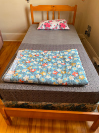 Single Bed Available